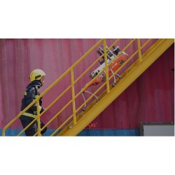 2 İlk Yardım köpeği